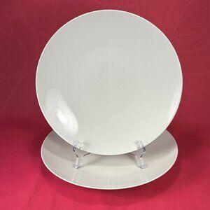 Set of 2 Thomas Rosenthal Germany dinner plates
